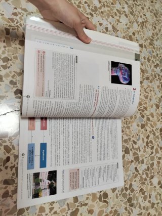 Filosofía y ciudadanía 1 bachillerato