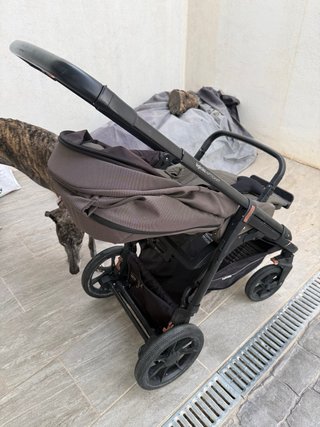 Carrito Inglesina Aptica XT con capazo y stand up