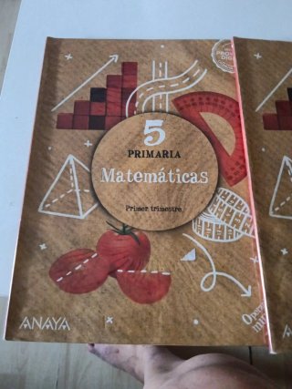 Matemáticas 4 Primaria