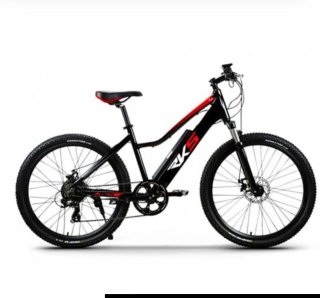 bicicleta eléctrica adulto