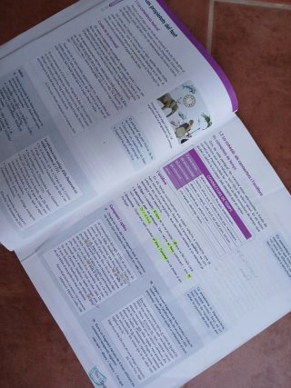 Llengua Catalana 1 ESO