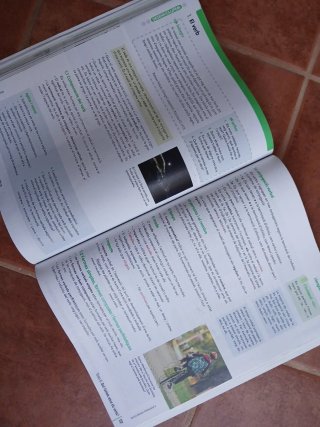 Llengua Catalana 1 ESO