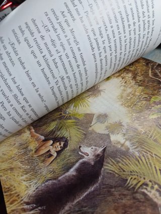 Las Aventuras De Mowgli N/c