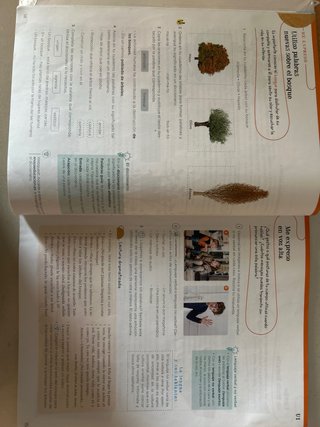 Lengua Anaya 5 Primaria
