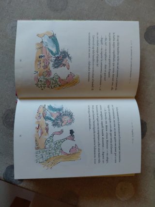 El segrest de la bibliotecària