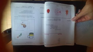 Libro LENGUA 2 EGB