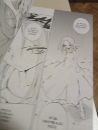 Manga shaman king zero 0