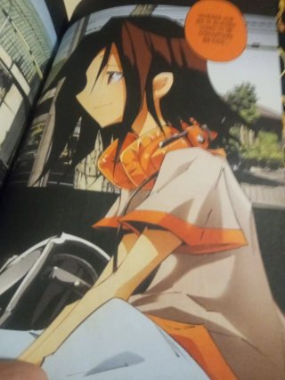 Manga shaman king zero 0