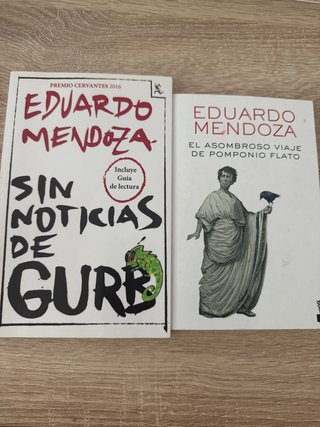 El asombroso viaje de Pomponio Flato