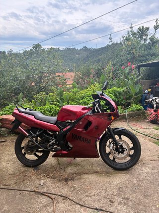 Yamaha TZR 50cc Deportiva GRANATE