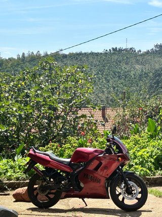 Yamaha TZR 50cc Deportiva GRANATE
