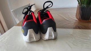 Zapatillas Puma Ferrari