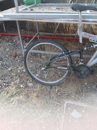 Bicicleta Visis