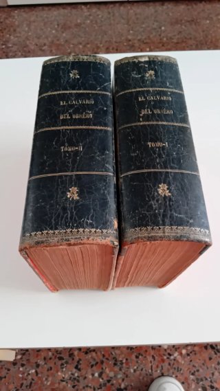 EL CALVARIO DEL OBRERO 1 EDICIÓN 1880