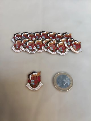Lote 20 Insignias Falla Raval Alcacer