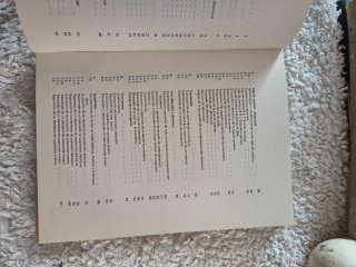Manual Taller Peugeot 204/304
