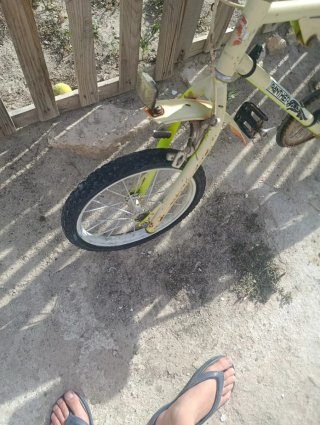 Bicicleta Panther