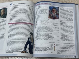 Lengua castellana y literatura II. Libro del es...