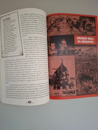 Dragon ball libro.