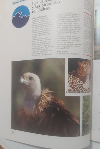 Atlas de Ecologia