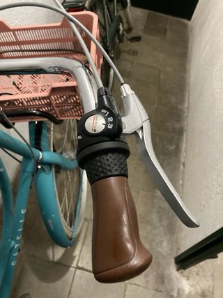 Bicicleta Holandesa Gazelle con silla y cesta