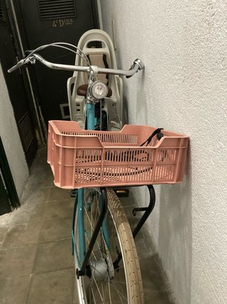 Bicicleta Holandesa Gazelle con silla y cesta