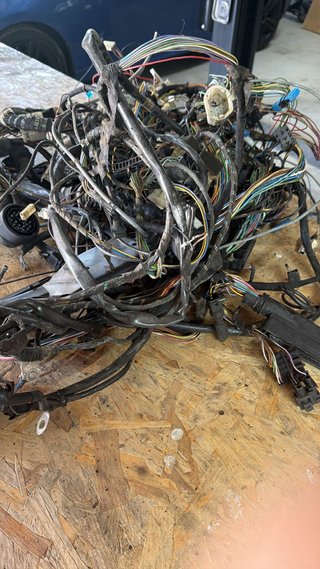 Cableado BMW E36 m52