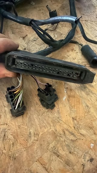 Cableado BMW E36 m52