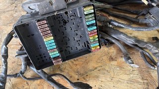 Cableado BMW E36 m52