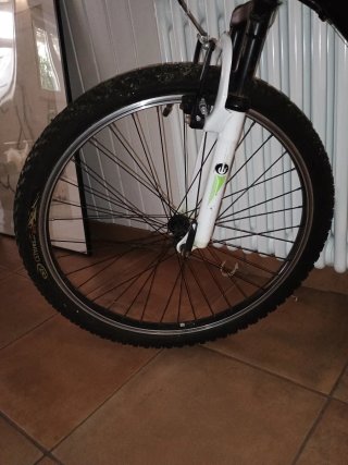 Bicicleta infantil negra y verde
