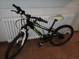 Bicicleta infantil negra y verde