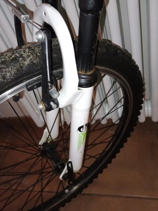Bicicleta infantil negra y verde
