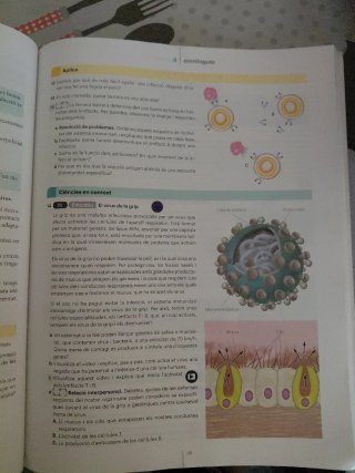 Biologia i Geologia 3 ESO LOMLOE