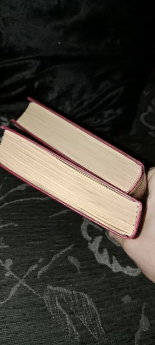 Lote 2 libros Los Miserables