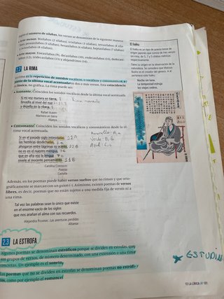 Lengua castellana y literatura 1 Secundaria