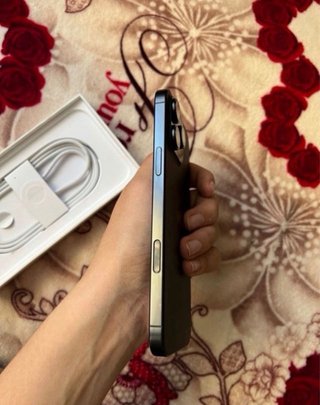 iPhone 16 Pro Max 256GB Negro