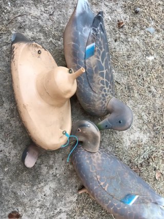 3 Patos Reclamo Goma Caza