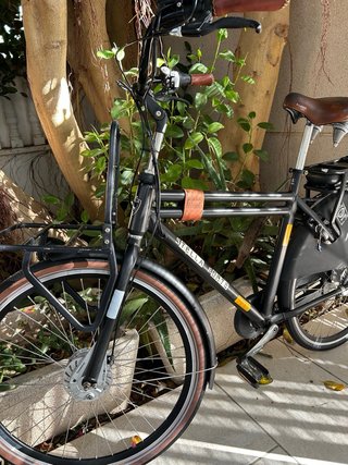 Bicicleta Eléctrica Stella Forte