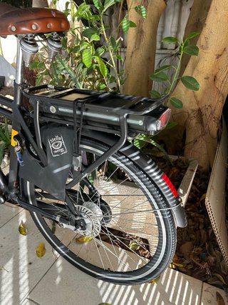 Bicicleta Eléctrica Stella Forte