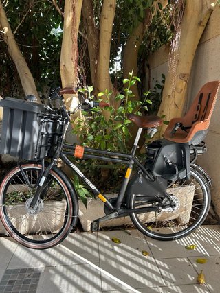 Bicicleta Eléctrica Stella Forte