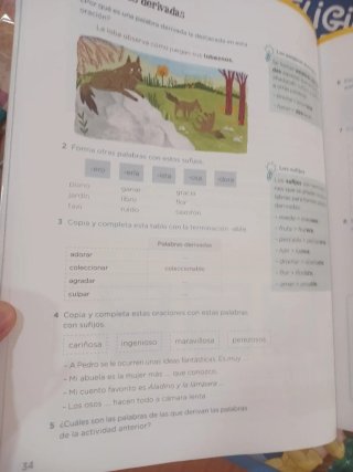 Lengua