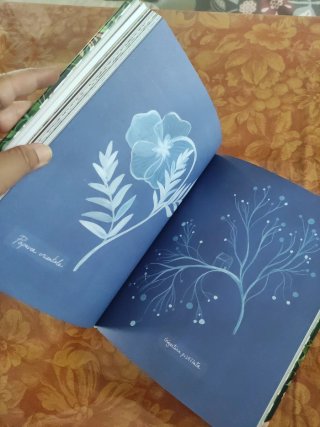 El jardín secreto de Virginia Woolf