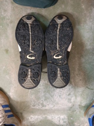 Zapatos de golf BMW