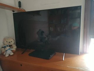 Televisor Sony Bravia 50 Negro