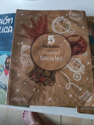 Lote le libros de texto 5 primaria, Anaya .