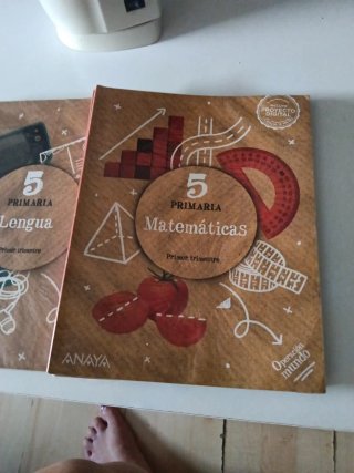 Lote le libros de texto 5 primaria, Anaya .