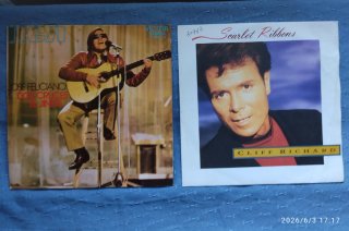 19 Discos Vinilo Singles
