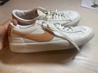 Zapatillas Nike Blancas y Marrones