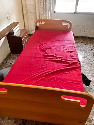 Cama articulada para personas con movilidad reduci