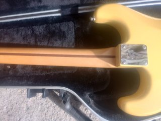 Fender Stratocaster Player 1 Guitarra Eléctrica